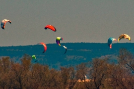 kites-at-sant-pere-pescador-A.jpg